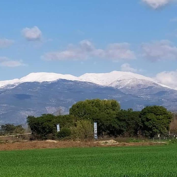 הוילה אכסניית כפר בלום- בית שיאון מראה חיצוני תמונה