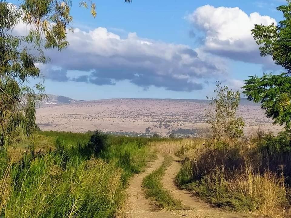 הוילה אכסניית כפר בלום- בית שיאון מראה חיצוני תמונה