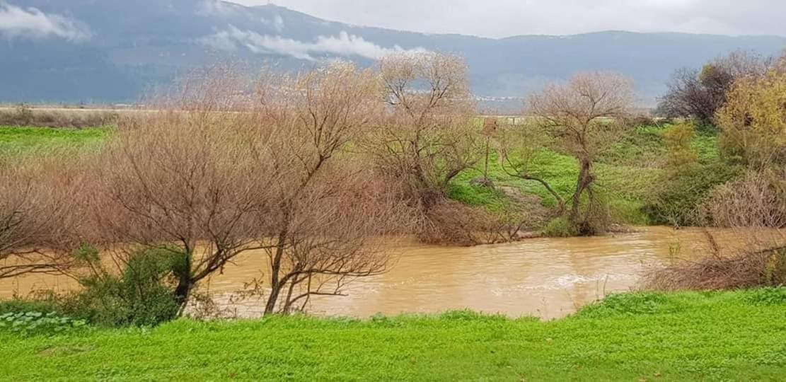 הוילה אכסניית כפר בלום- בית שיאון מראה חיצוני תמונה